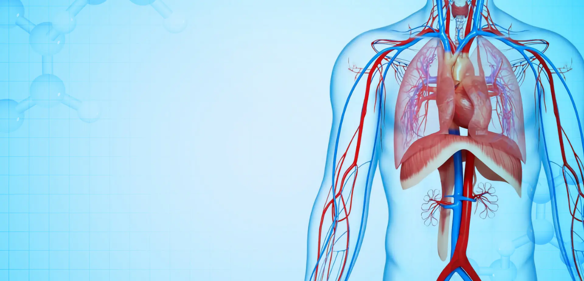 NINGBO LINSTANT POLYMER MATERIALS CO,. KFT.