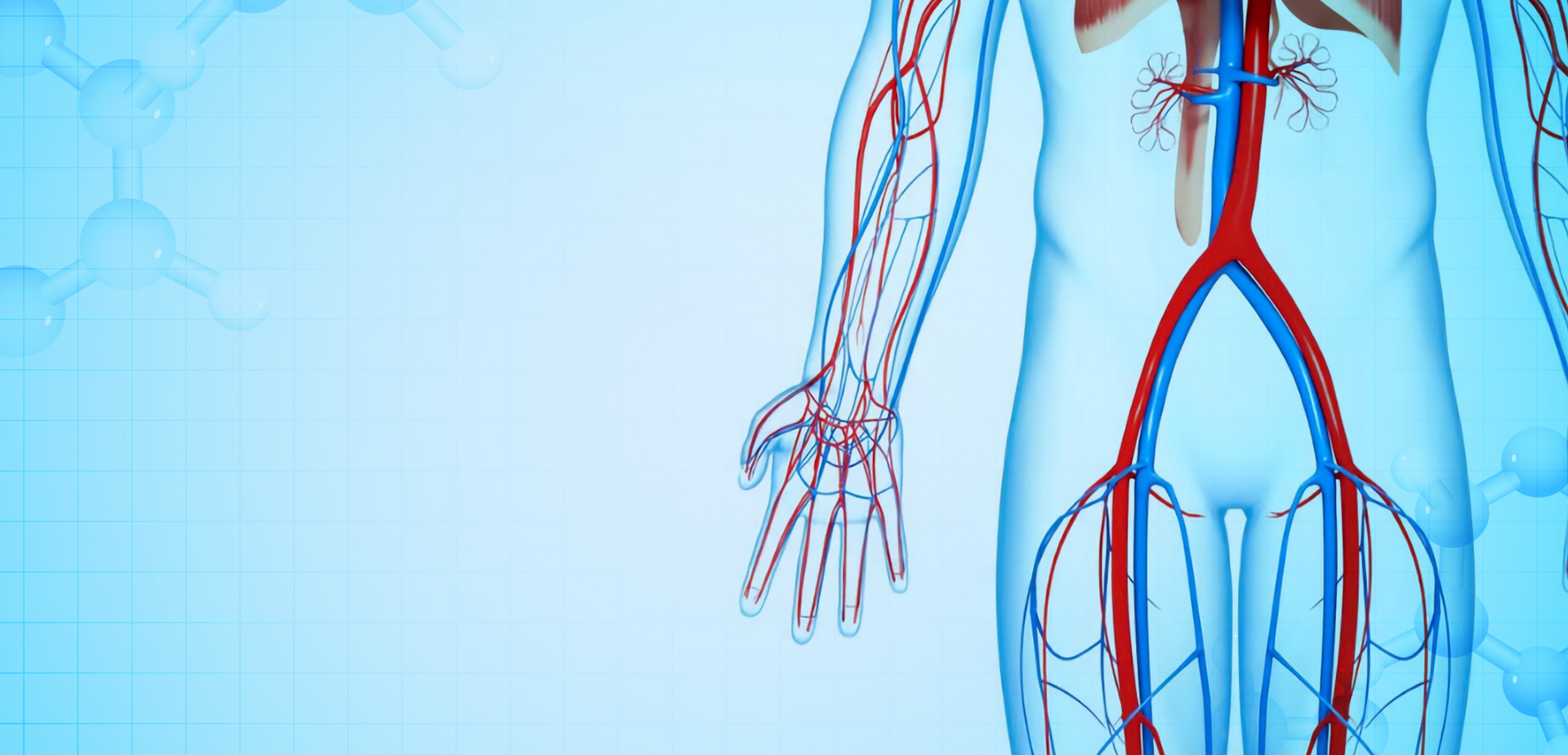 NINGBO LINSTANT POLYMER MATERIALS CO,. KFT.