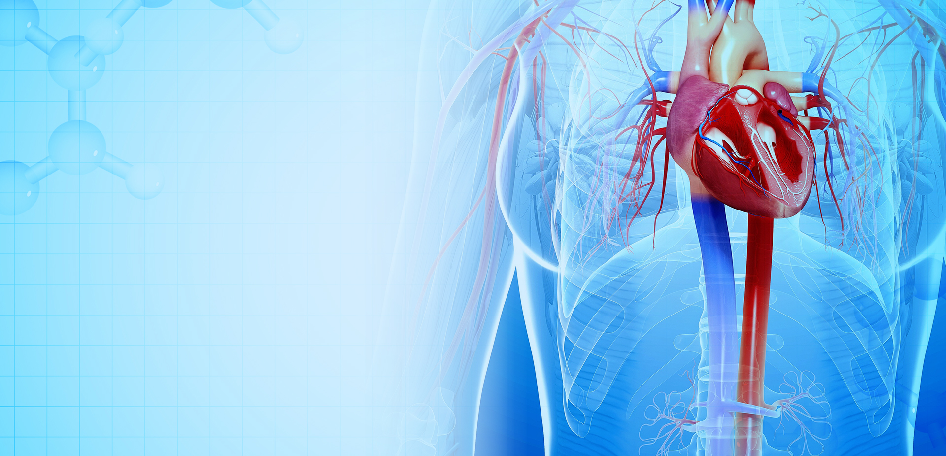 NINGBO LINSTANT POLYMER MATERIALS CO,. KFT.