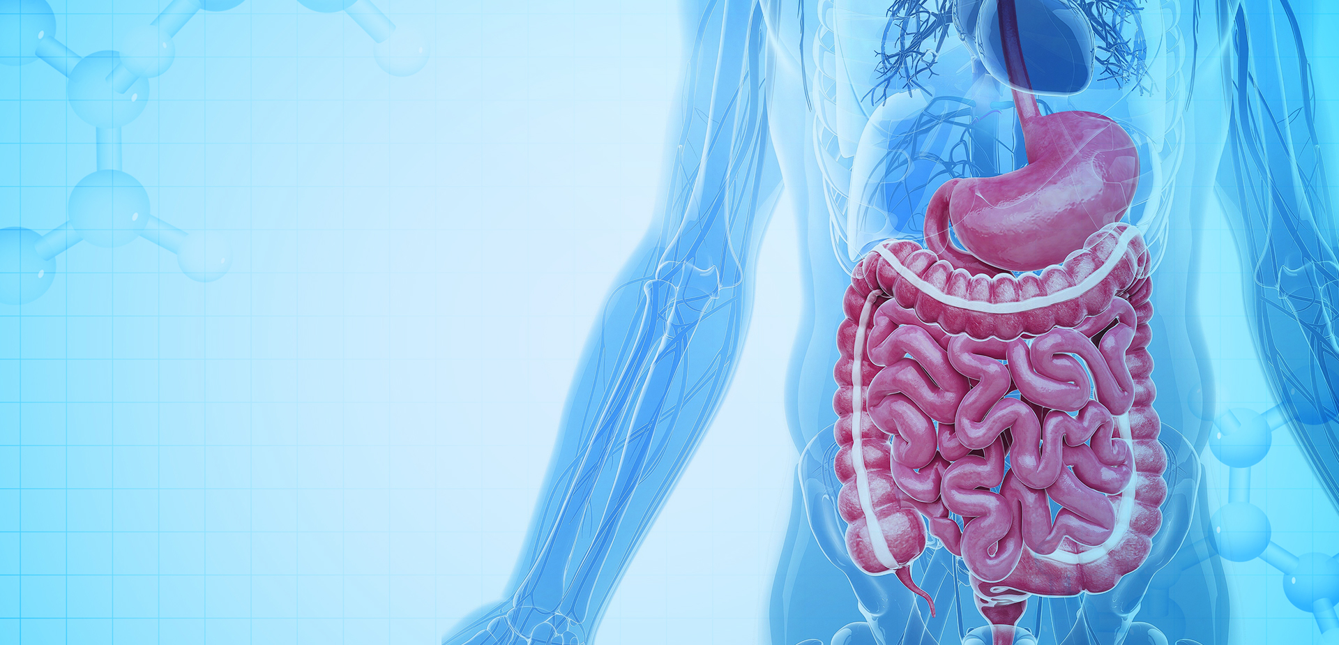 NINGBO LINSTANT POLYMER MATERIALS CO,. KFT.