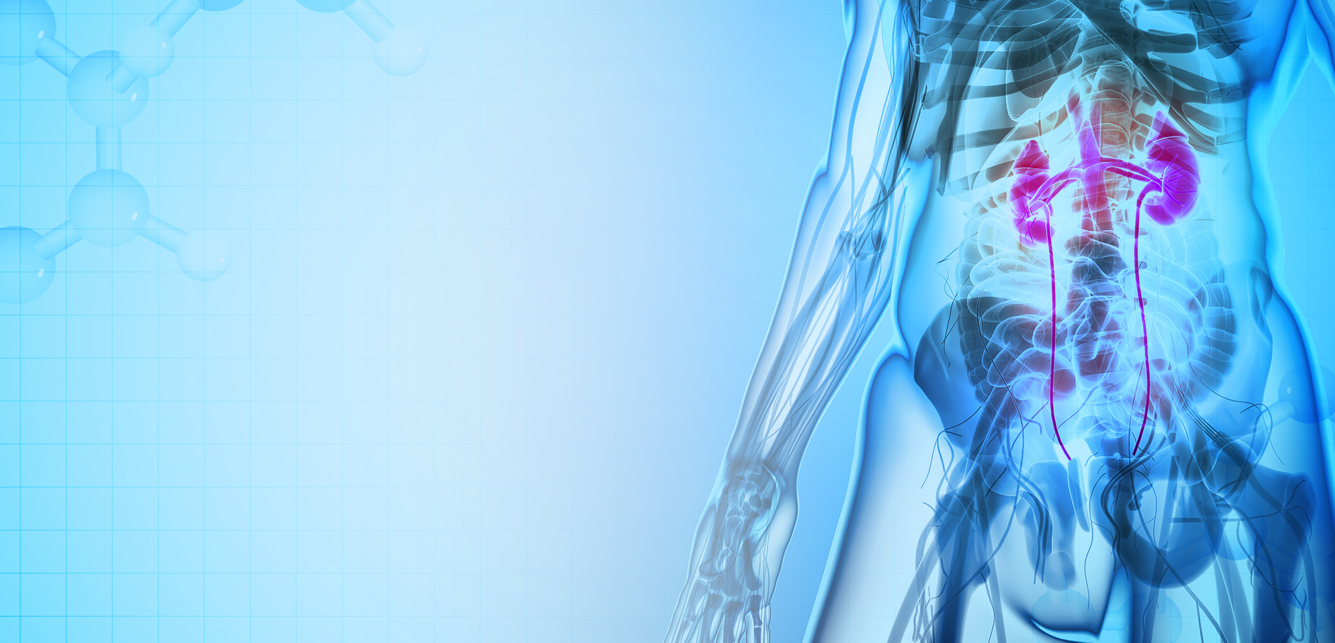 NINGBO LINSTANT POLYMER MATERIALS CO,. KFT.