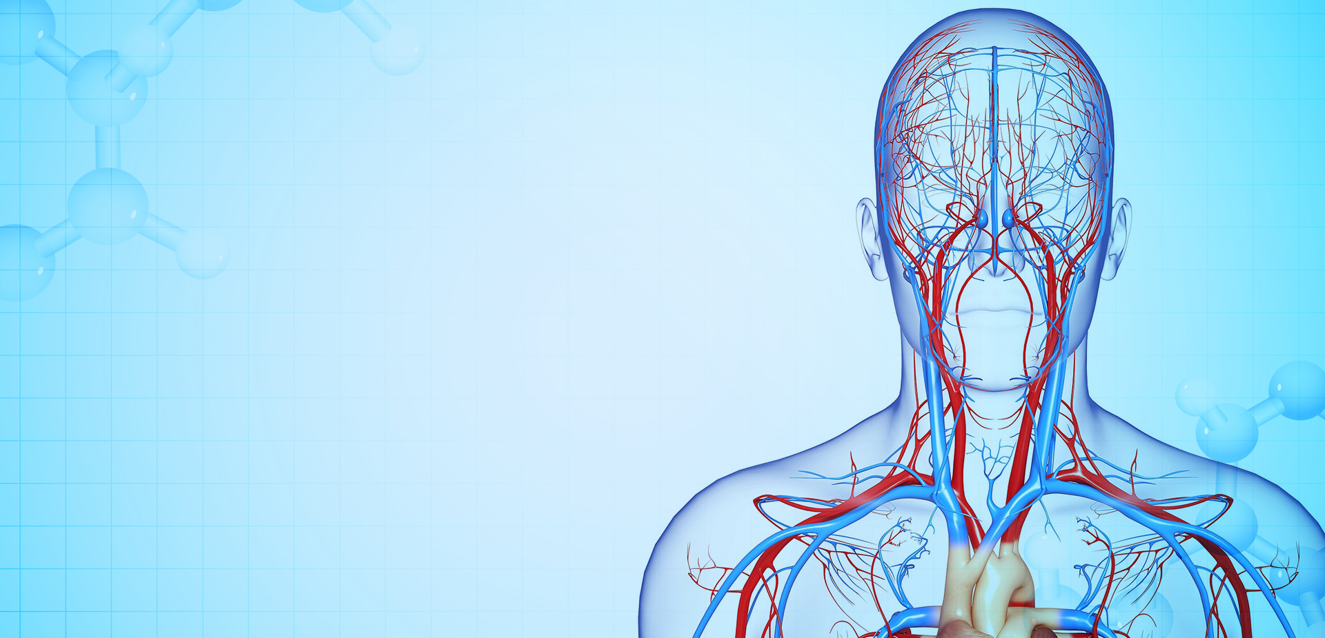 NINGBO LINSTANT POLYMER MATERIALS CO,. KFT.